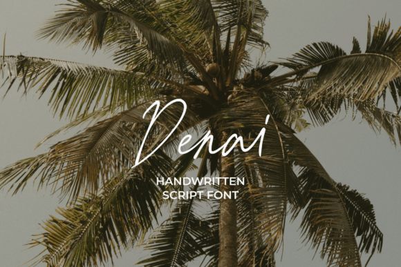 Denai: A Designer’s Honest Review of a Script Amp Font